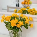 Apartman Lilla
