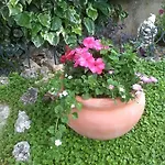 Apartman Lilla