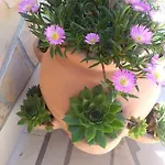 Lilla Apartman