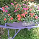 Lilla Apartman Baška Voda