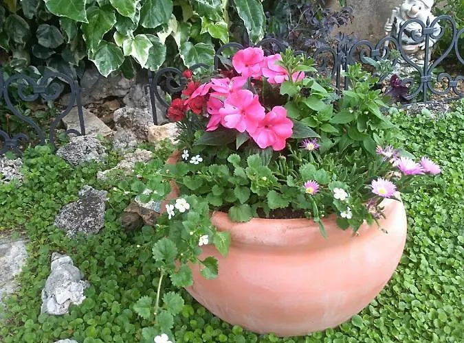 Appartamento Lilla