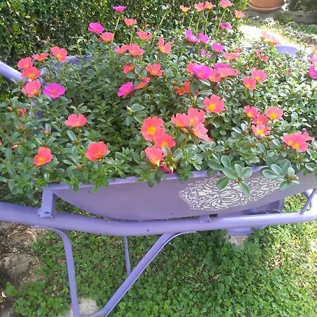 Lilla Apartamento Baška Voda