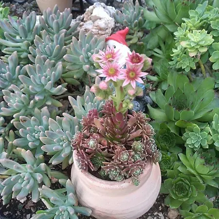 Apartamento Lilla Baška Voda